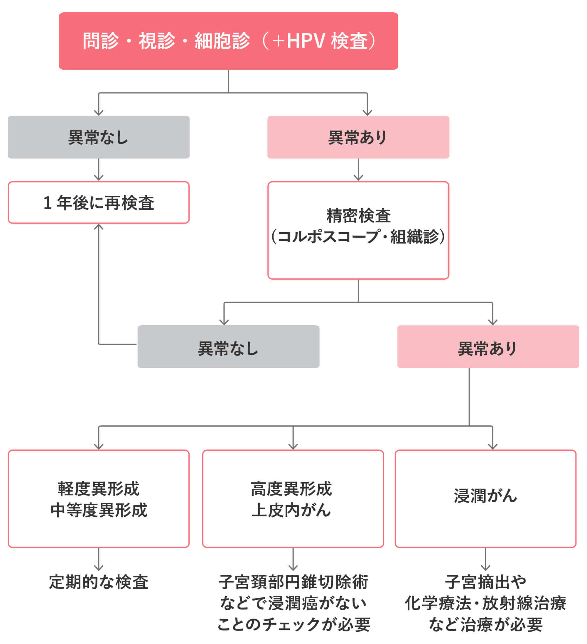 子宮頸がん検診のフロー